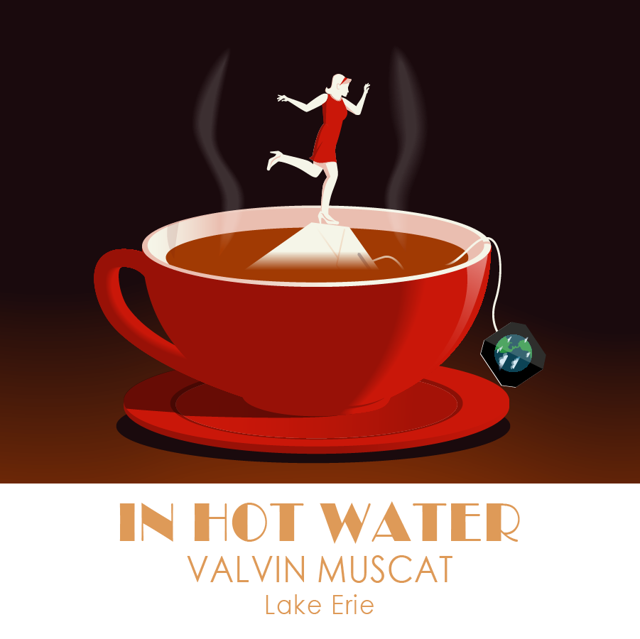 16 - IN HOT WATER